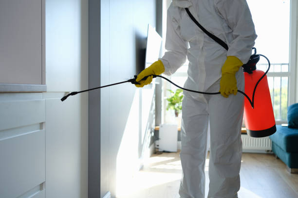 Best Mold Testing and Inspection Services in Crane, MO