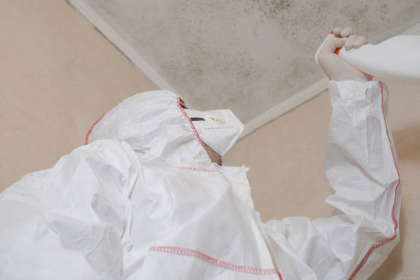 Best Preventive Mold Services in Crane, MO